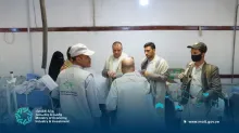 زيارة